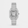 Crist Iced Steel Watch